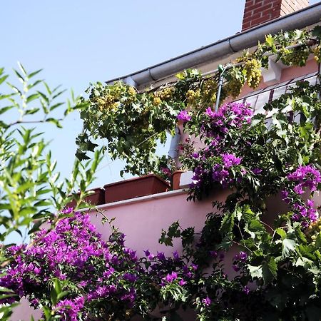 Apartments By The Sea Mali Losinj Veli Lošinj Exterior foto